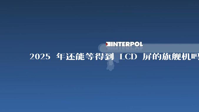 2025 年还能等得到 LCD 屏的旗舰机吗？