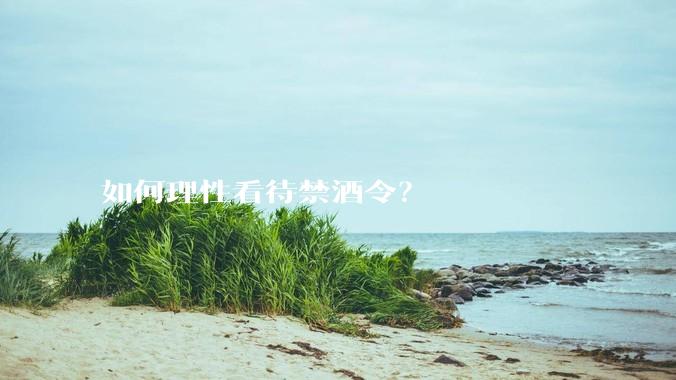 如何理性看待禁酒令？