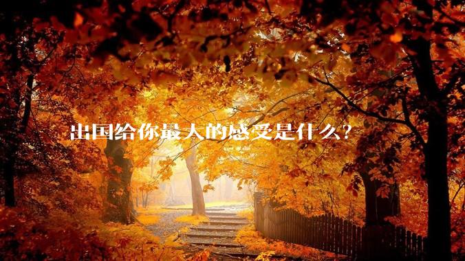 出国给你最大的感受是什么？