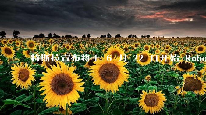 特斯拉宣布将于 6 月 22 日开始 Robotaxi 公开试运营，这将对自动驾驶行业带来哪些影响？