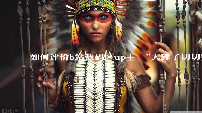 如何评价b站数码区up主 “大狸子切切里”?