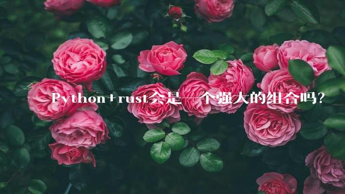 Python+rust会是一个强大的组合吗？