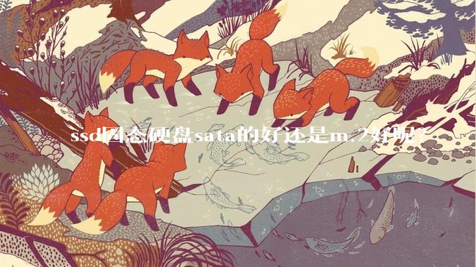 ssd固态硬盘sata的好还是m.2好呢？
