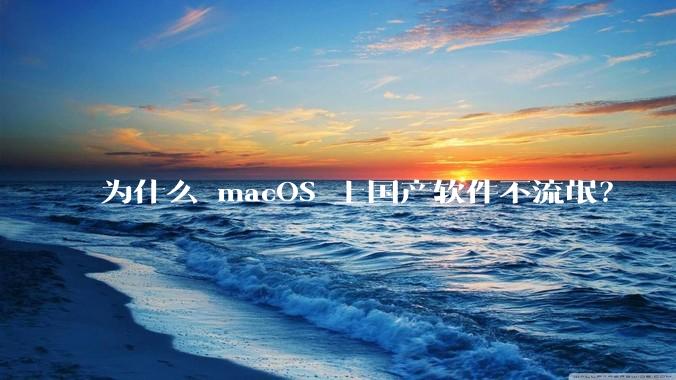 为什么 macOS 上国产软件不流氓？