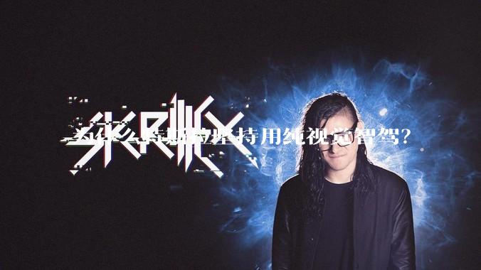 为什么特斯拉坚持用纯视觉智驾？