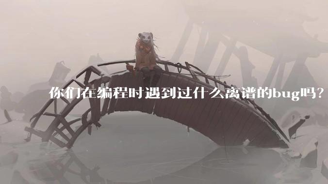 你们在编程时遇到过什么离谱的bug吗？