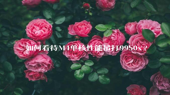 如何看待M4单核性能吊打9950x?