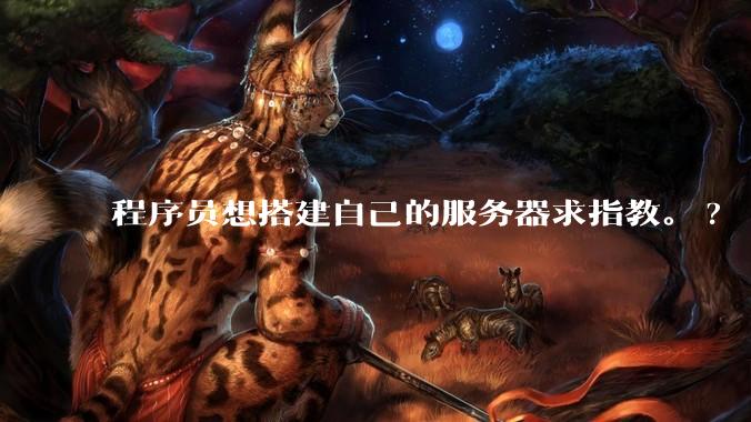 程序员想搭建自己的服务器求指教。?