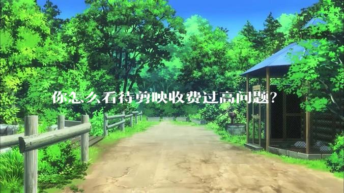 你怎么看待剪映收费过高问题？