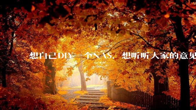 想自己DIY一个NAS，想听听大家的意见。？