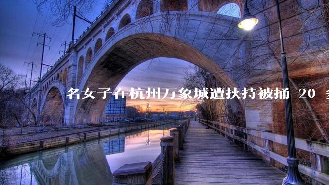 一名女子在杭州万象城遭挟持被捅 20 多刀，隆胸***体救了一命，这反映出哪些公安系统的问题？