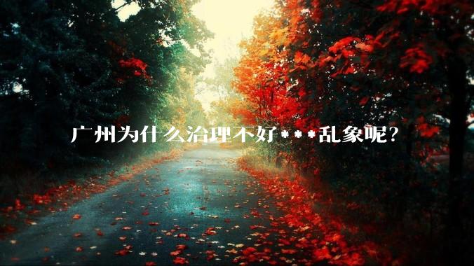 广州为什么治理不好***乱象呢？
