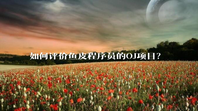 如何评价鱼皮程序员的OJ项目？