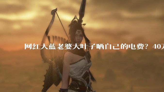 网红大蓝老婆大叶子晒自己的电费？40万每年，到底是什么概念？
