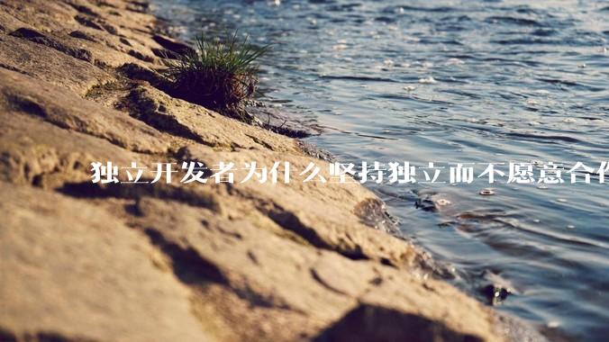 独立开发者为什么坚持独立而不愿意合作？