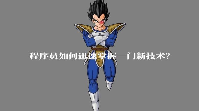 程序员如何迅速掌握一门新技术？