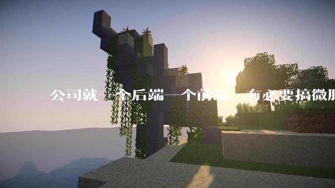 公司就一个后端一个前端，有必要搞微服务吗？