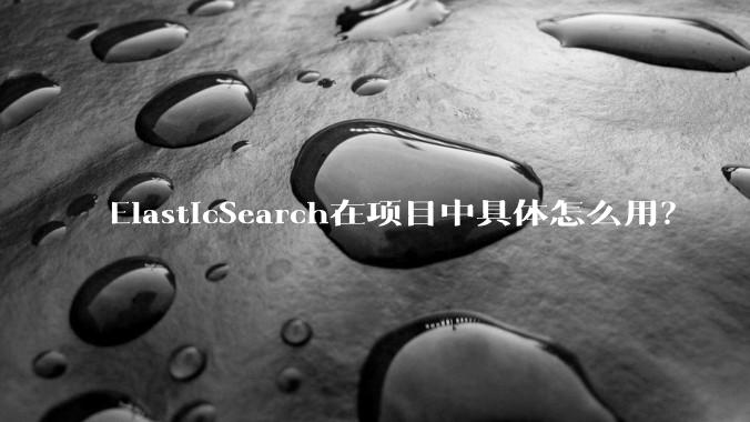 ElasticSearch在项目中具体怎么用？