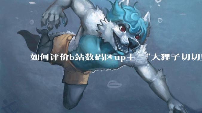 如何评价b站数码区up主 “大狸子切切里”?