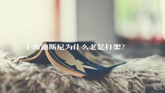 上海迪斯尼为什么老是打架？