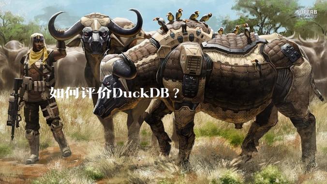 如何评价DuckDB?