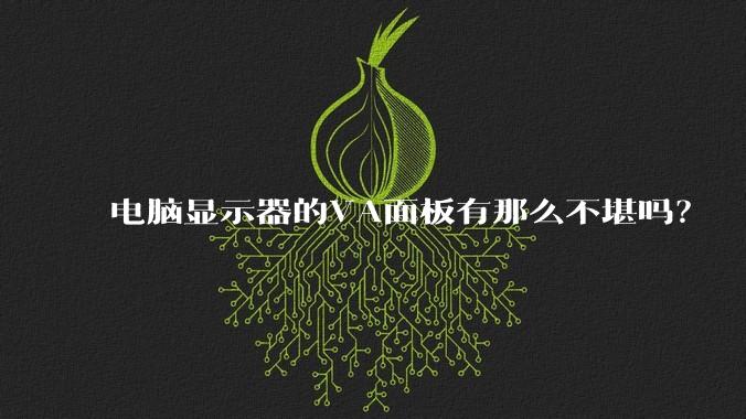 电脑显示器的VA面板有那么不堪吗？