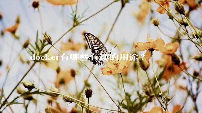 docker有哪些有趣的用途?