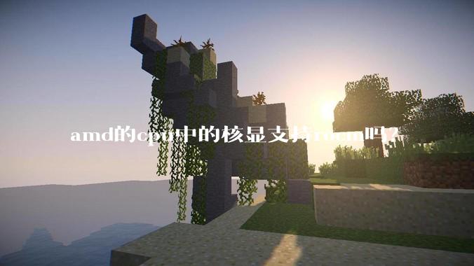 amd的cpu中的核显支持rocm吗？