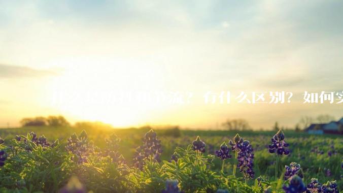 什么是防抖和节流？有什么区别？如何实现？
