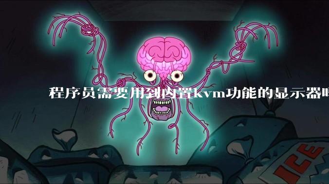 程序员需要用到内置kvm功能的显示器吗？或者是外置的kvm切换器吗？