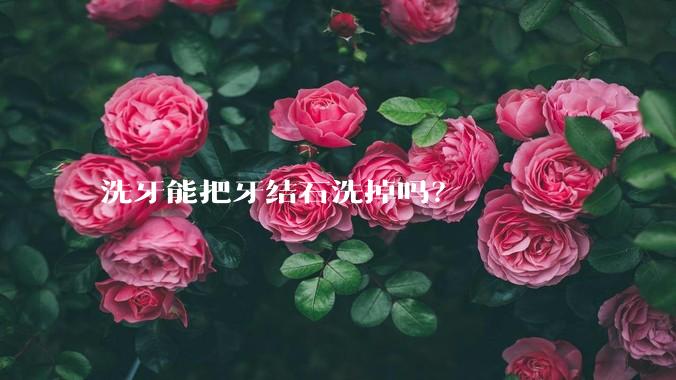 洗牙能把牙结石洗掉吗？