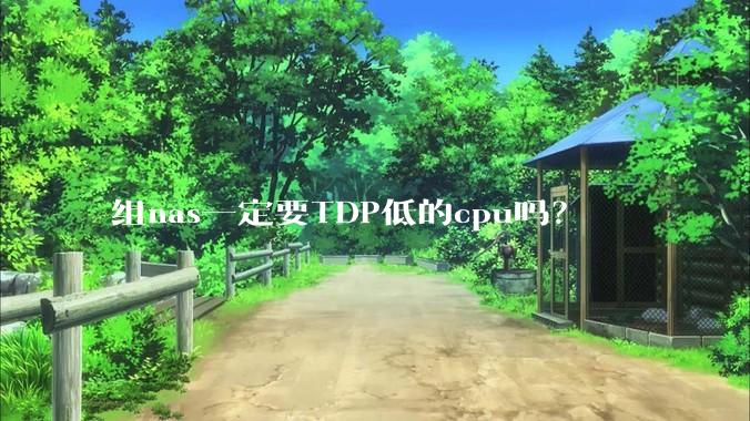 组nas一定要TDP低的cpu吗？