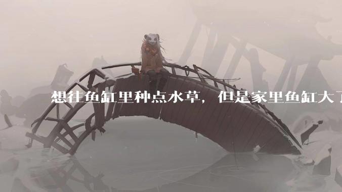 想往鱼缸里种点水草，但是家里鱼缸大了买水草泥或者底砂太贵了，有没有生活中可以替代的物品或其他建议？
