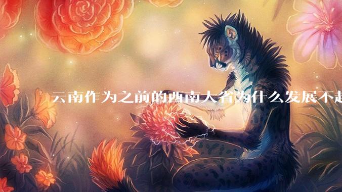 云南作为之前的西南大省为什么发展不起来？