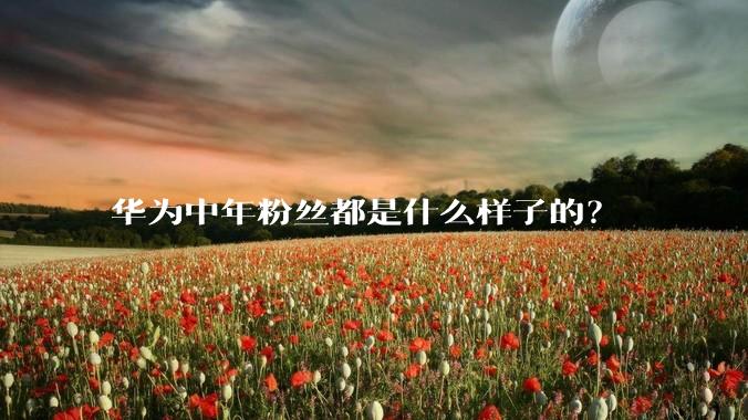 华为中年粉丝都是什么样子的？
