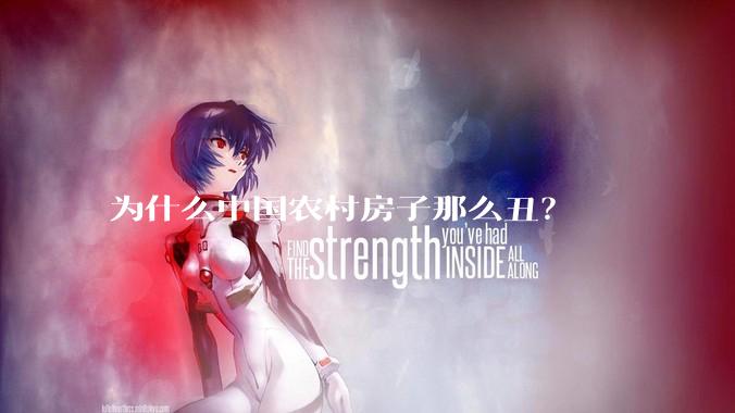 为什么中国农村房子那么丑？