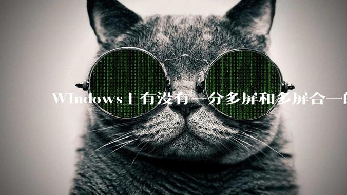 Windows上有没有一分多屏和多屏合一的软件？