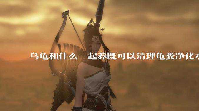 乌龟和什么一起养既可以清理龟粪净化水质又可以当龟食物？