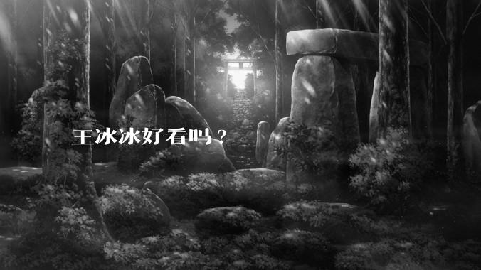 王冰冰好看吗?