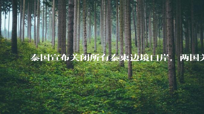 泰国宣布关闭所有泰柬边境口岸，两国关系为何再起波澜？目前局势如何？