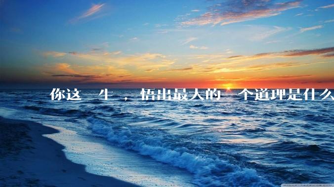 你这一生 ，悟出最大的一个道理是什么 ?